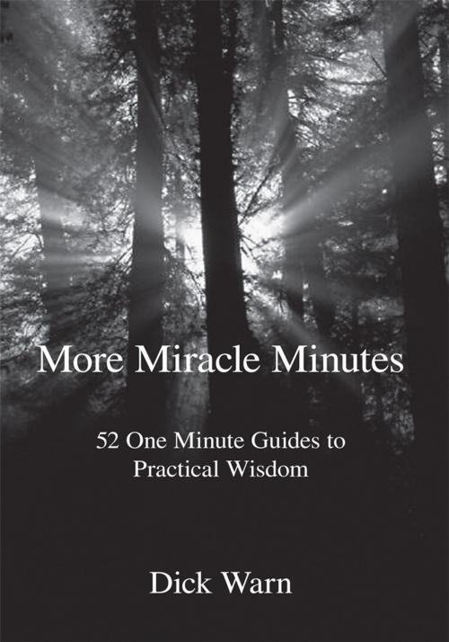 Cover of the book More Miracle Minutes by Dick Warn, Trafford Publishing