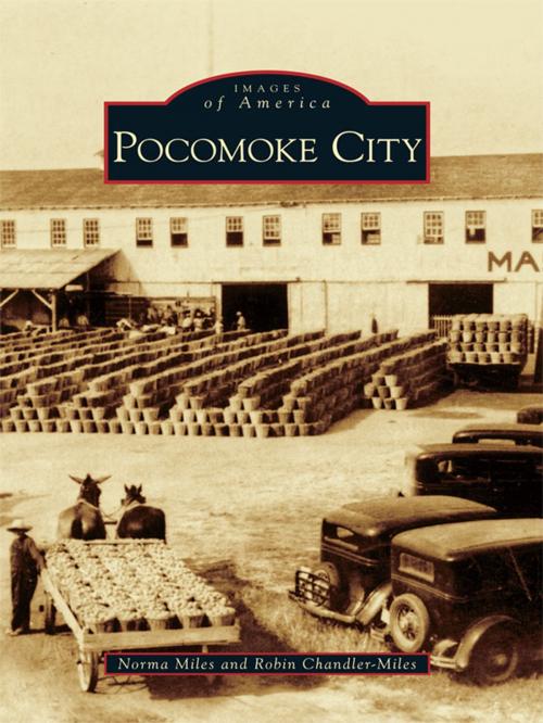 Cover of the book Pocomoke City by Norma Miles, Robin Chandler-Miles, Arcadia Publishing Inc.