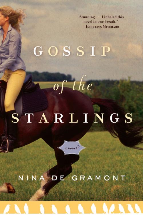 Cover of the book Gossip of the Starlings by Nina de Gramont, Algonquin Books