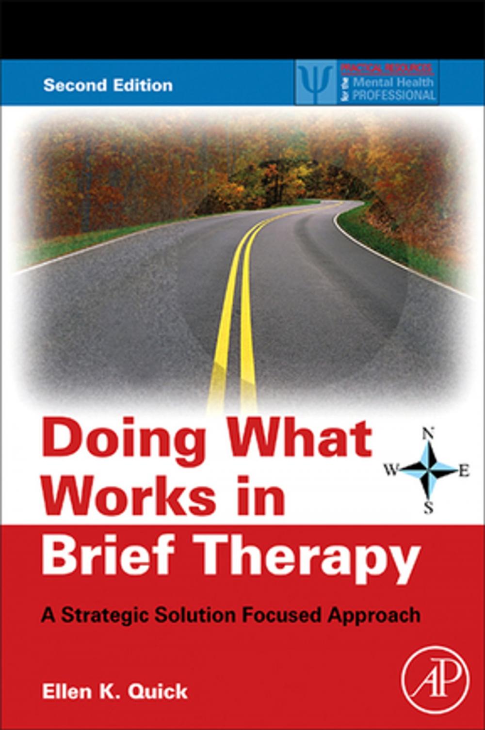 Big bigCover of Doing What Works in Brief Therapy