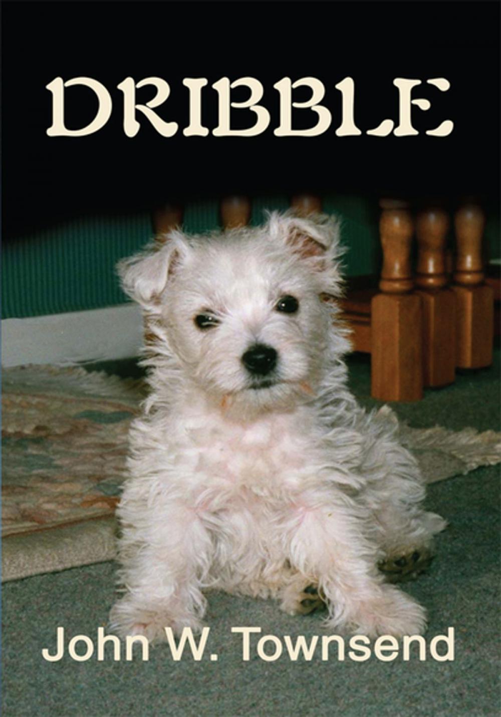 Big bigCover of Dribble