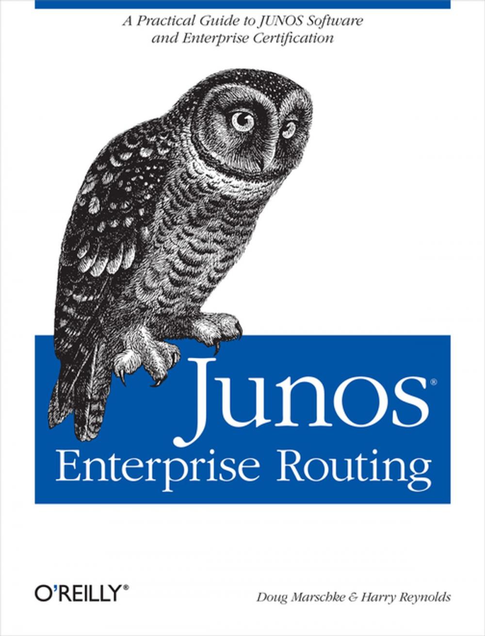 Big bigCover of JUNOS Enterprise Routing