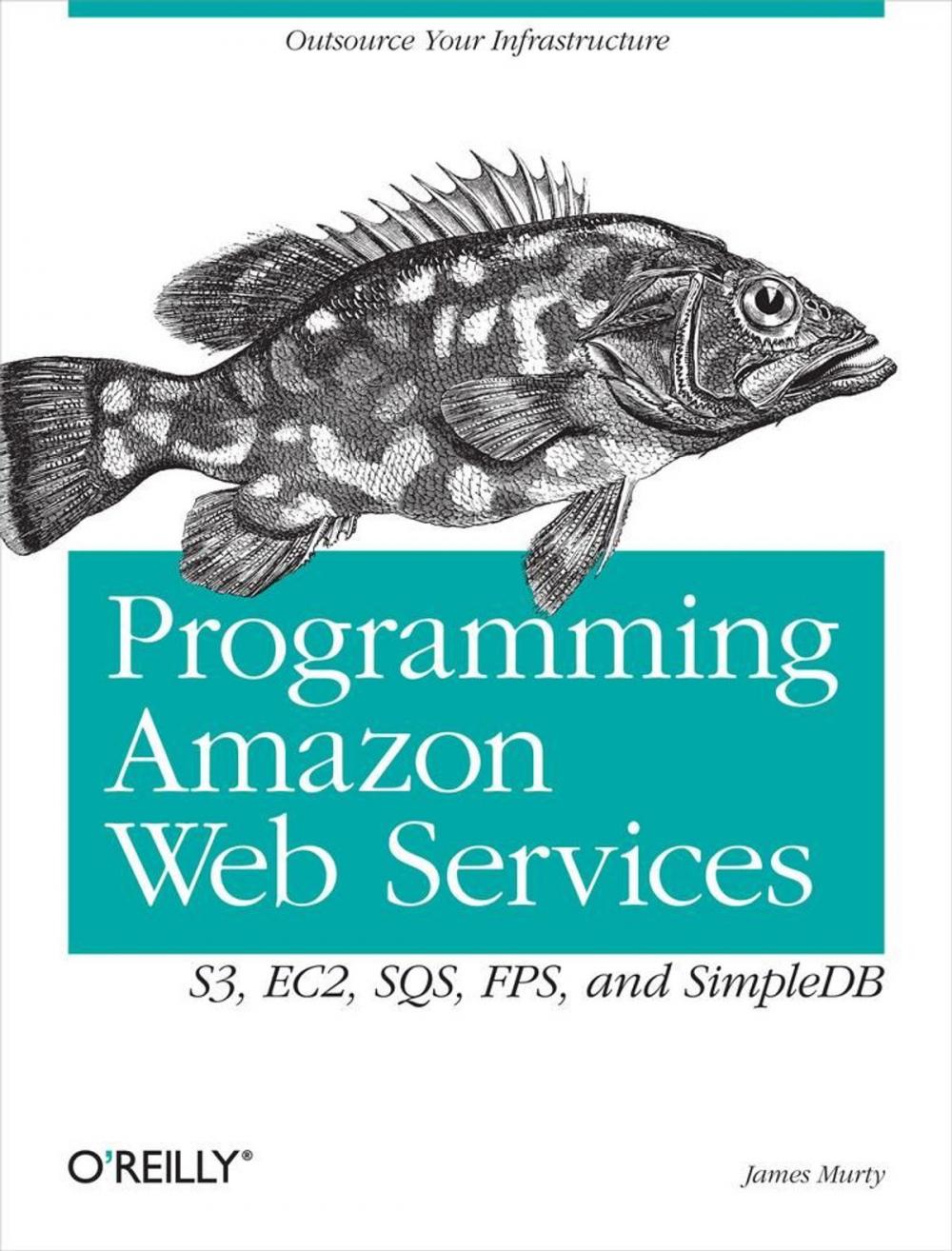 Big bigCover of Programming Amazon Web Services