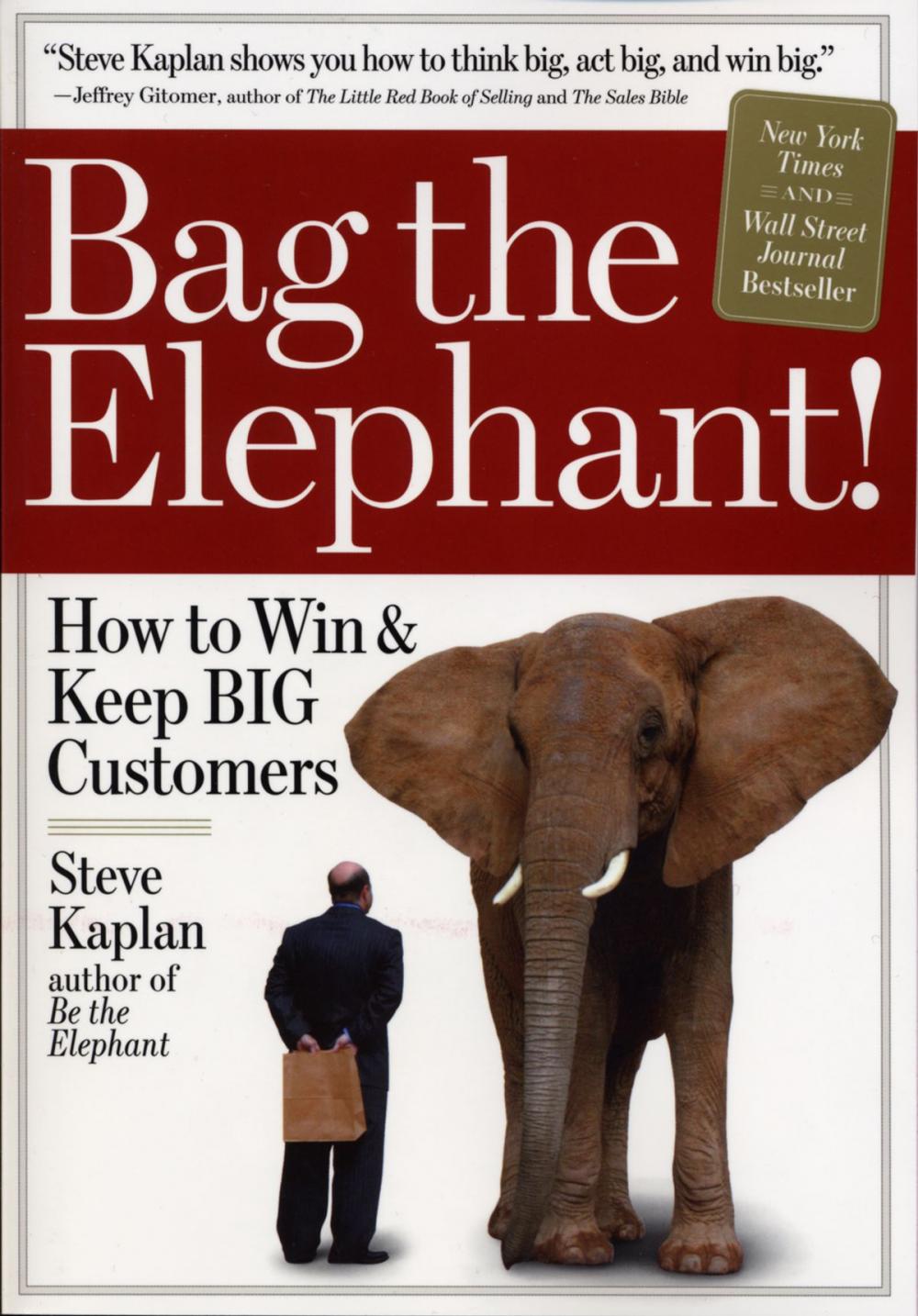 Big bigCover of Bag the Elephant