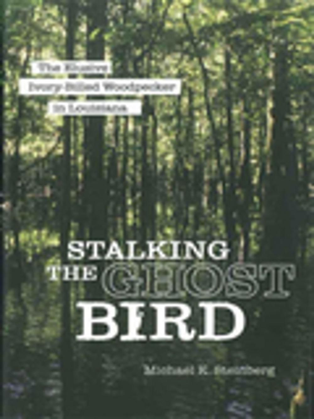 Big bigCover of Stalking the Ghost Bird