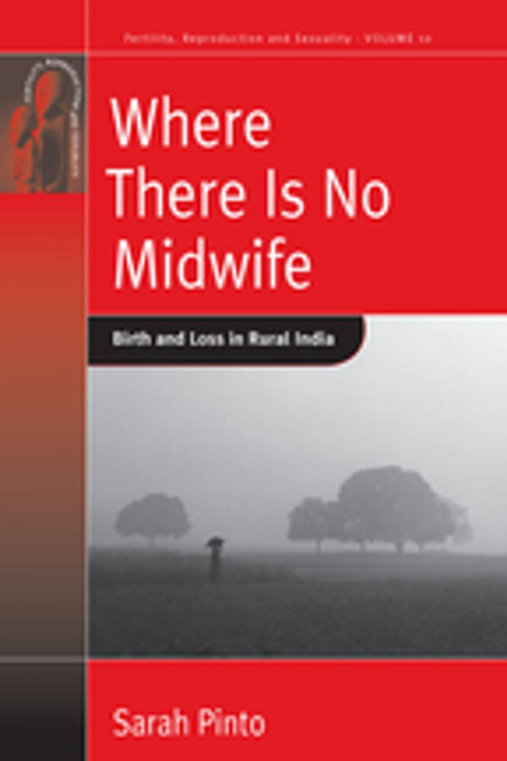 Big bigCover of Where There Is No Midwife