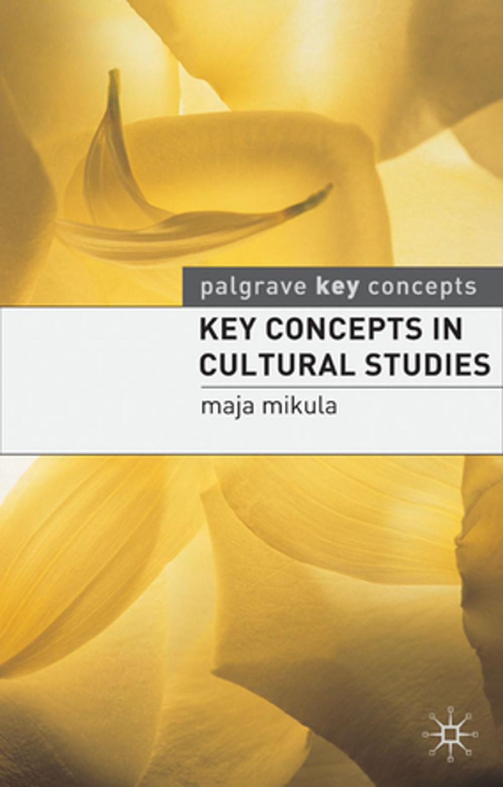 Big bigCover of Key Concepts in Cultural Studies