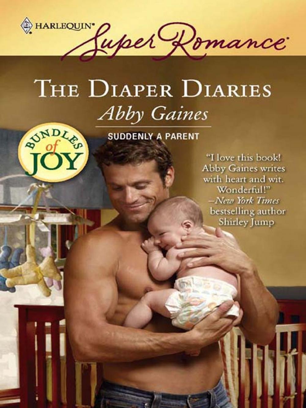 Big bigCover of The Diaper Diaries