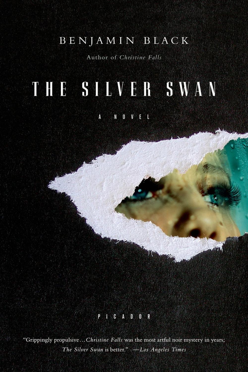 Big bigCover of The Silver Swan
