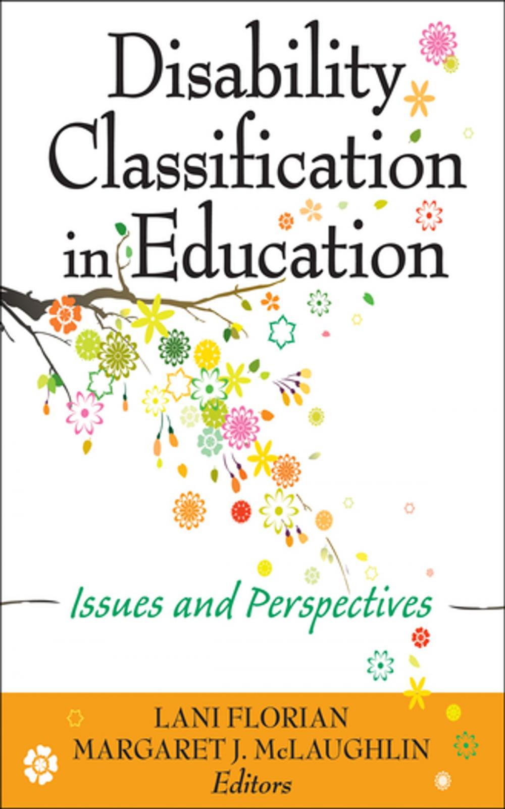 Big bigCover of Disability Classification in Education