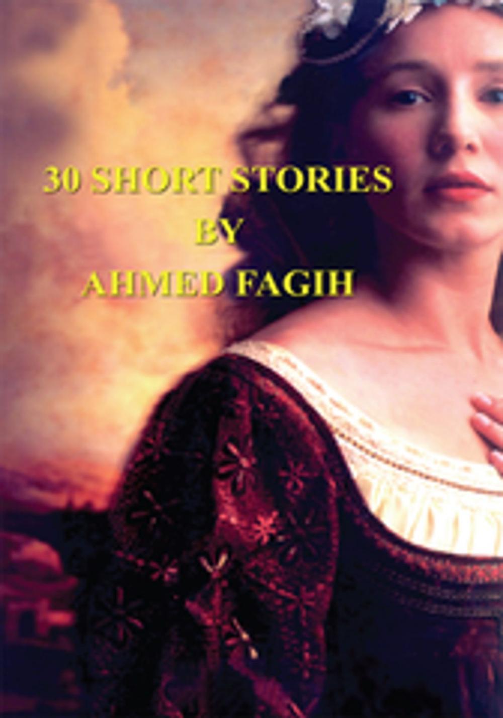 Big bigCover of 30 Short Stories