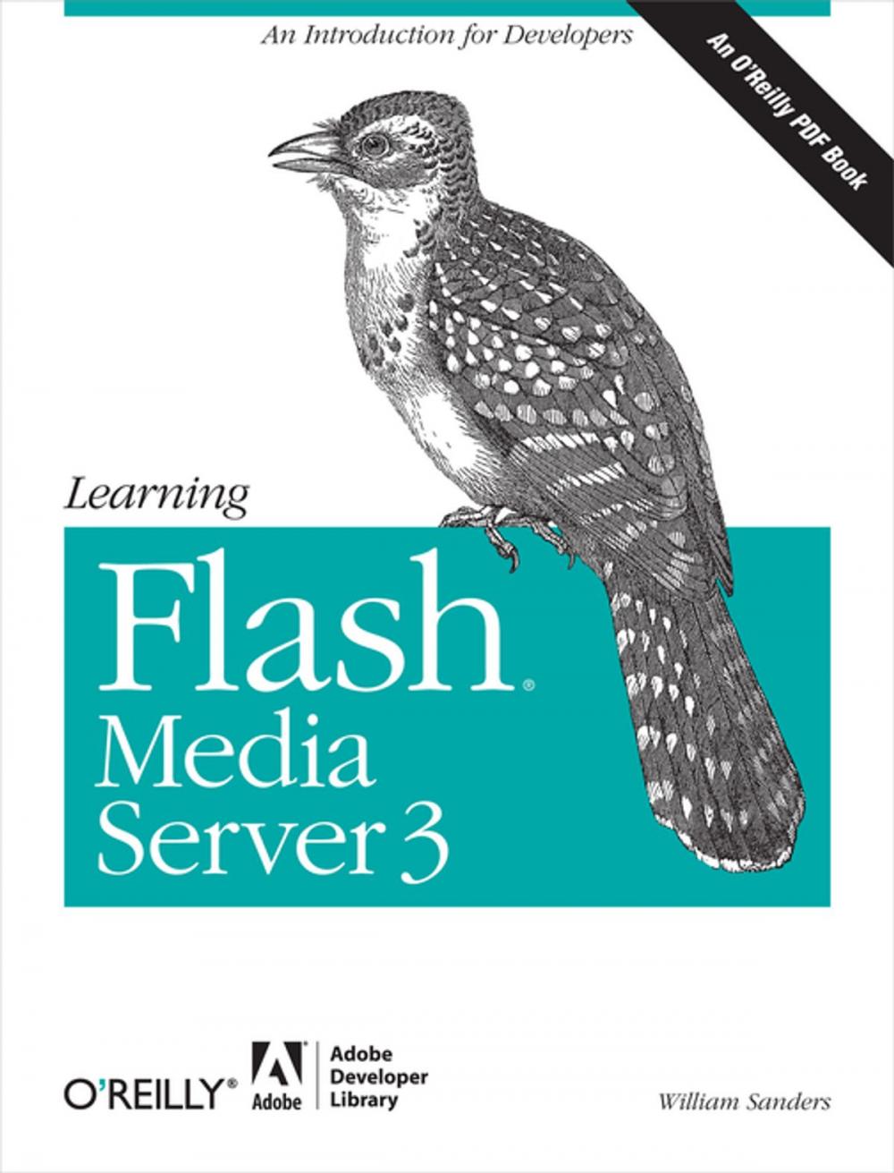 Big bigCover of Learning Flash Media Server 3