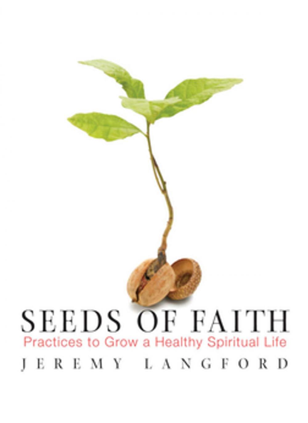 Big bigCover of Seeds of Faith