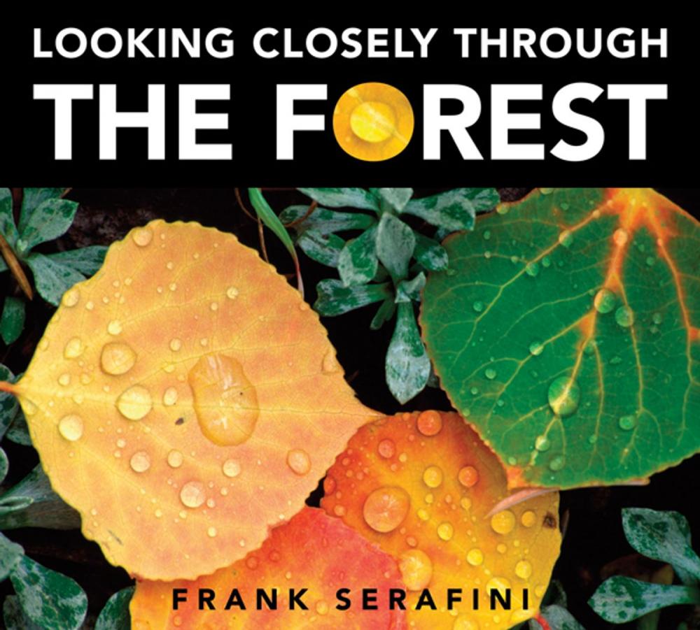 Big bigCover of Looking Closely through the Forest