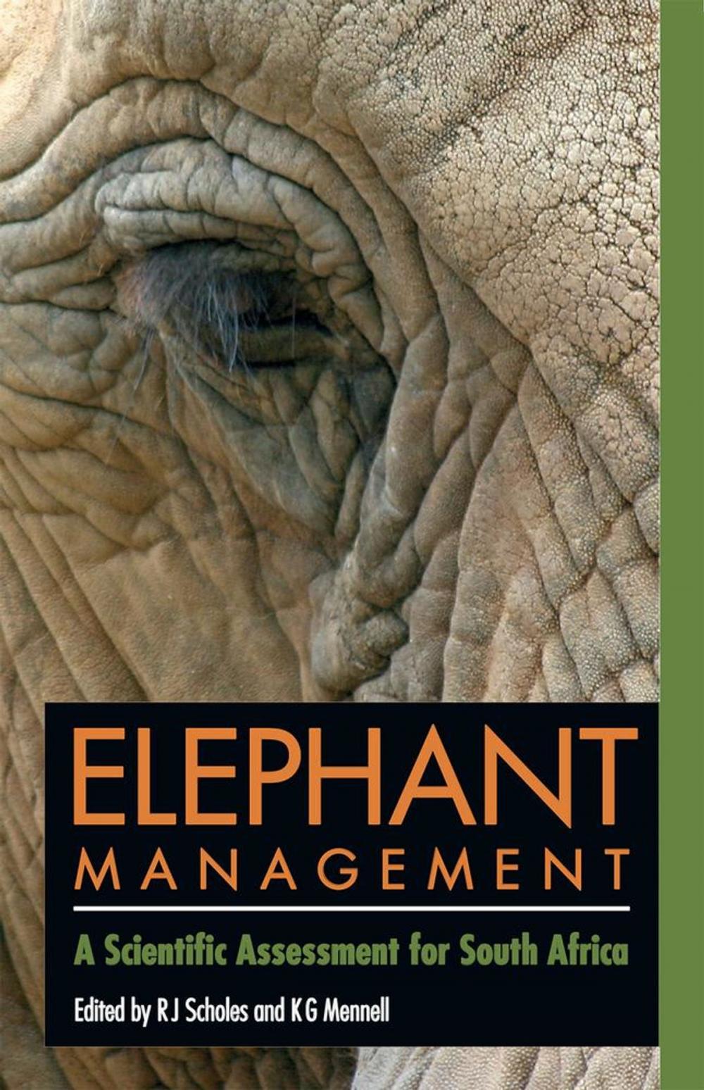 Big bigCover of Elephant management