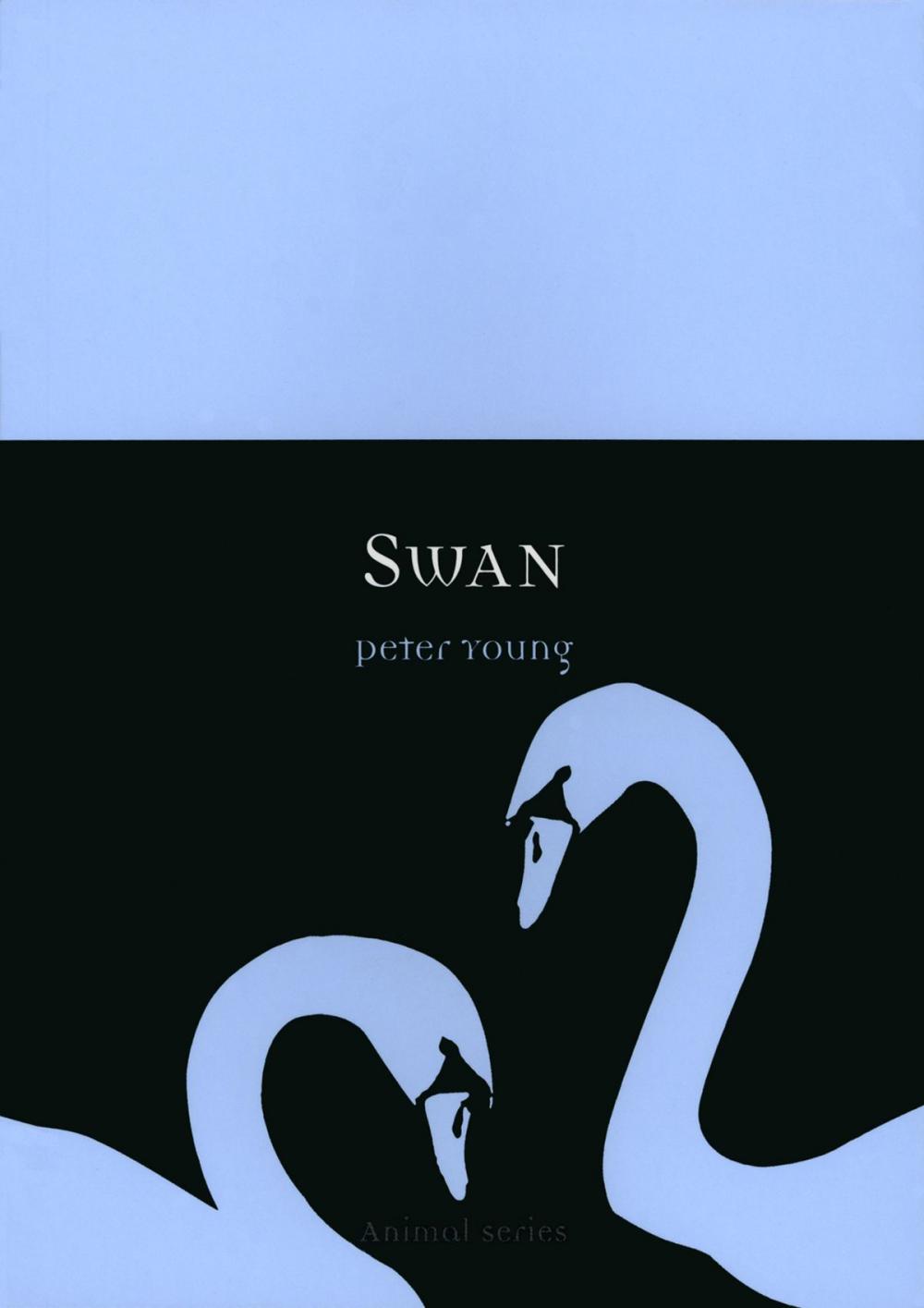 Big bigCover of Swan