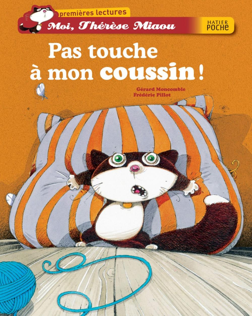 Big bigCover of Pas touche à mon coussin !