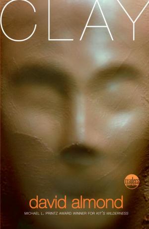 Cover of the book Clay by Gary Paulsen
