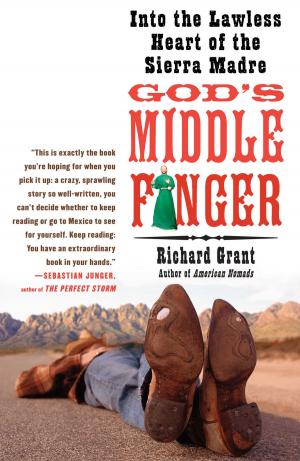 Cover of the book God's Middle Finger by Hilary Kramer