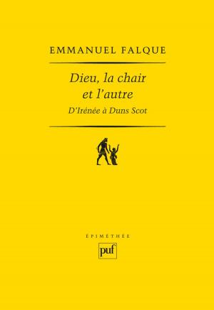 Cover of the book Dieu, la chair et l'autre by Francis Dupuis-Déri, Mélissa Blais, Christine Bard