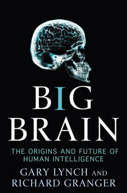 Cover of the book Big Brain by Gary Lynch, Richard Granger, St. Martin's Press