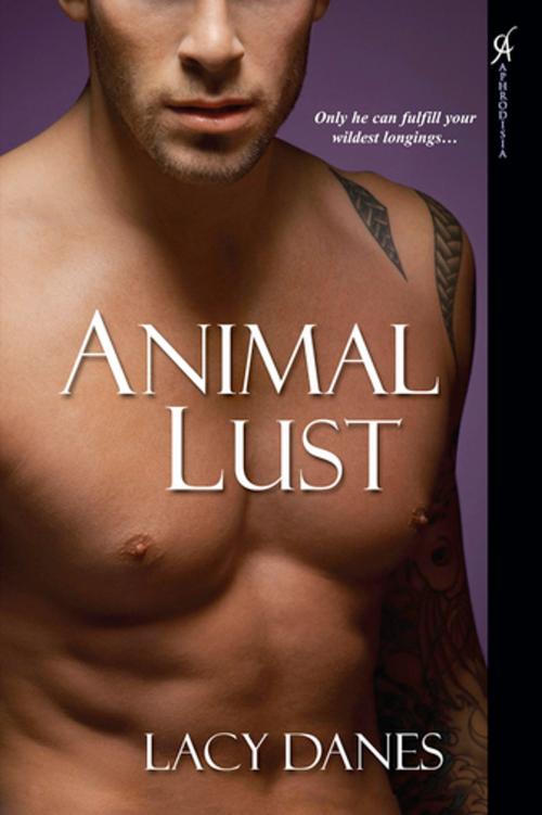 Cover of the book Animal Lust by Lacy Danes, Kensington Books