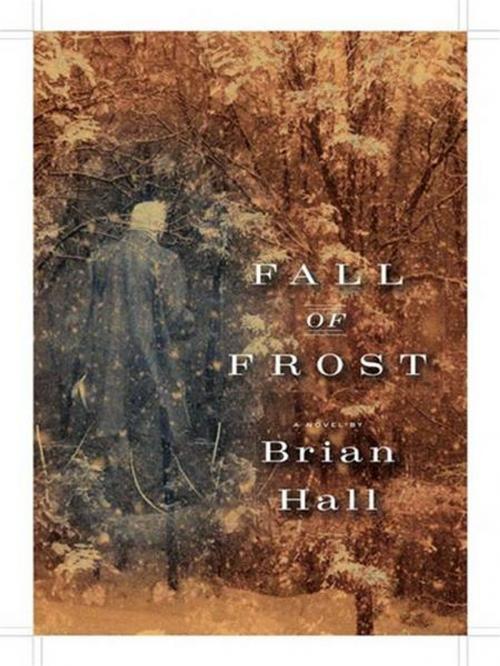 Cover of the book Fall of Frost by Brian Hall, Penguin Publishing Group