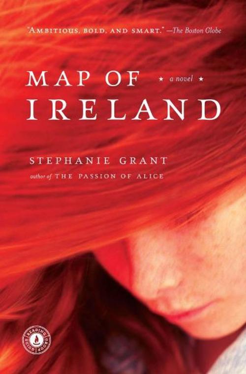 Cover of the book Map of Ireland by Stephanie Grant, Scribner