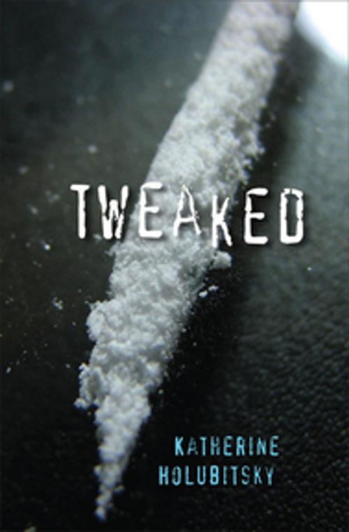 Cover of the book Tweaked by Katherine Holubitsky, Orca Book Publishers