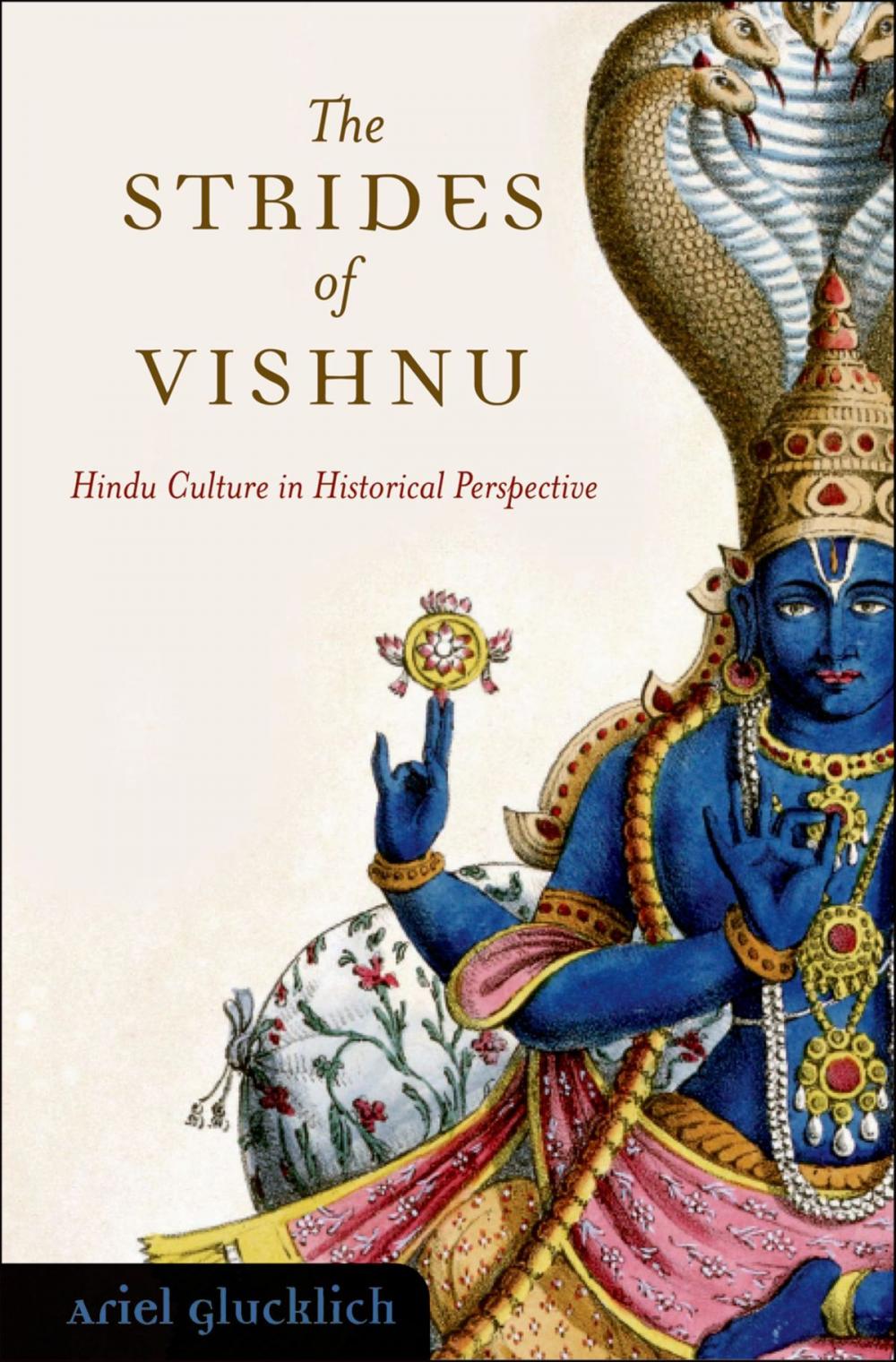 Big bigCover of The Strides of Vishnu