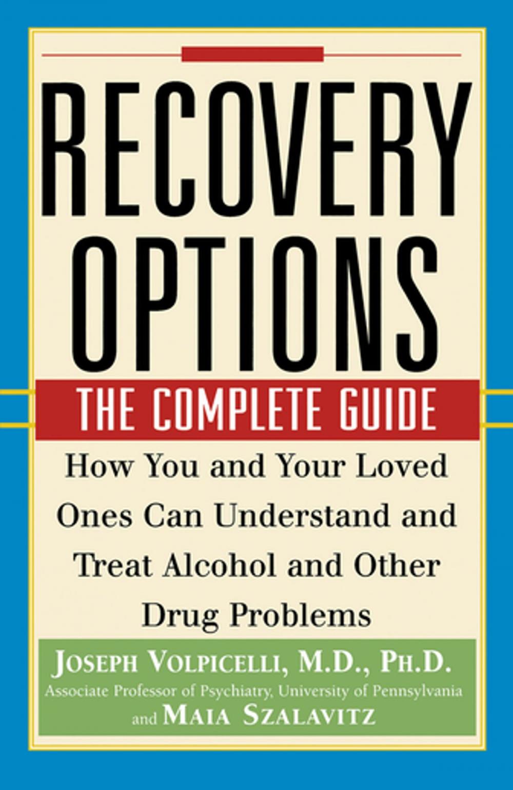 Big bigCover of Recovery Options