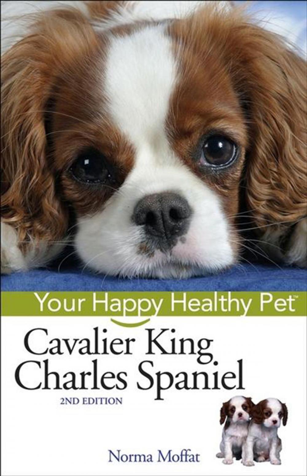 Big bigCover of Cavalier King Charles Spaniel