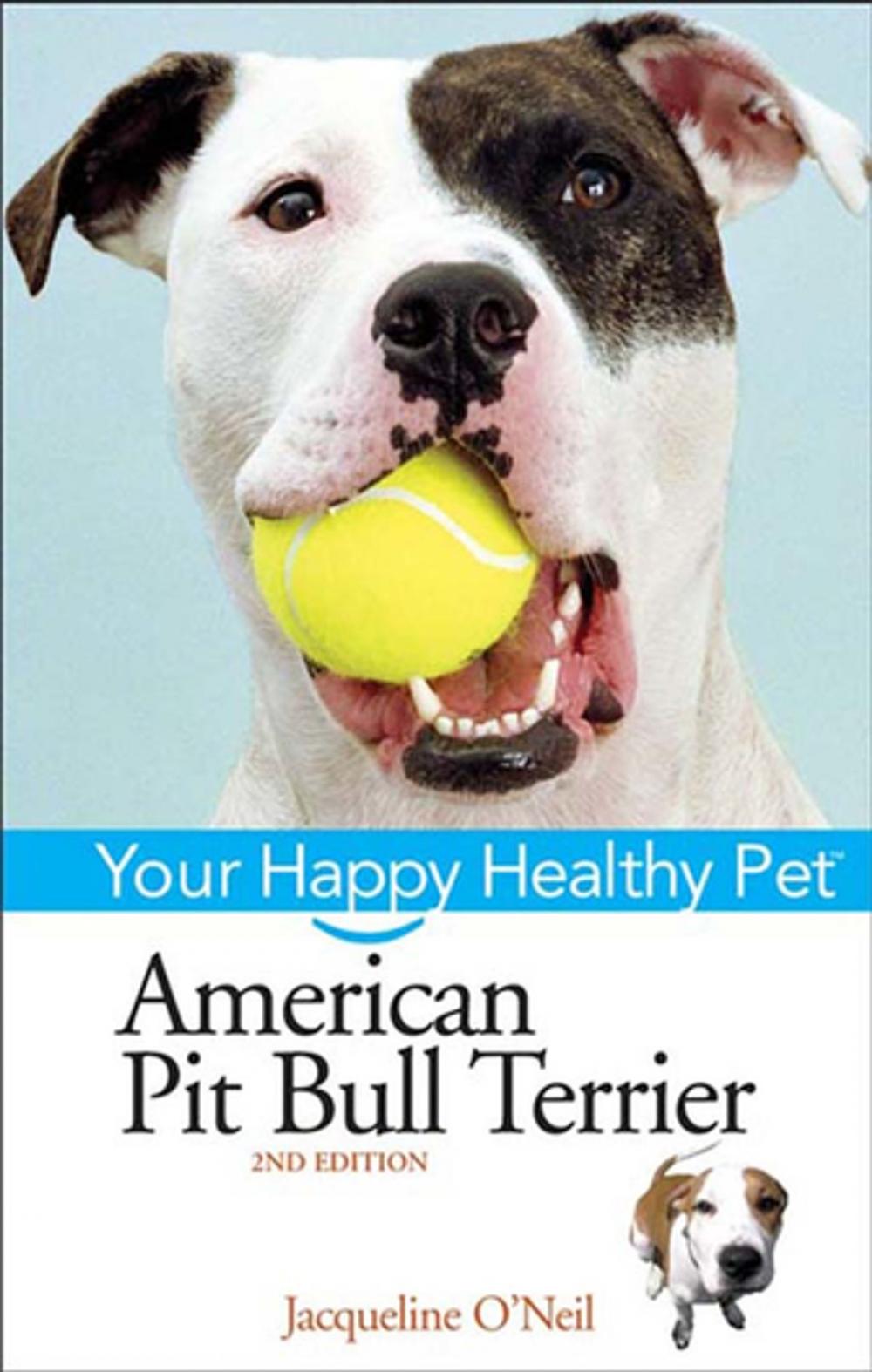 Big bigCover of American Pit Bull Terrier