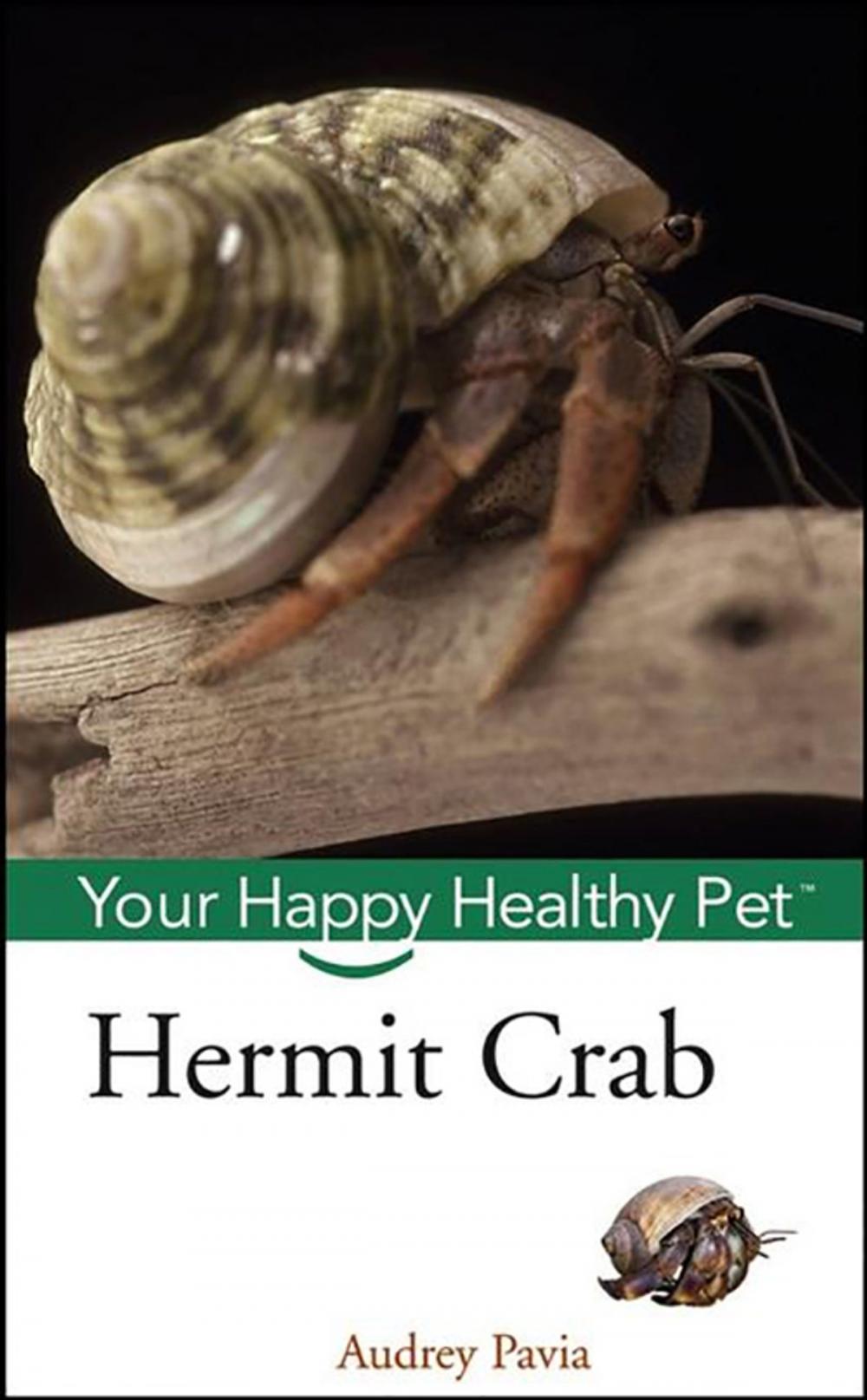 Big bigCover of Hermit Crab