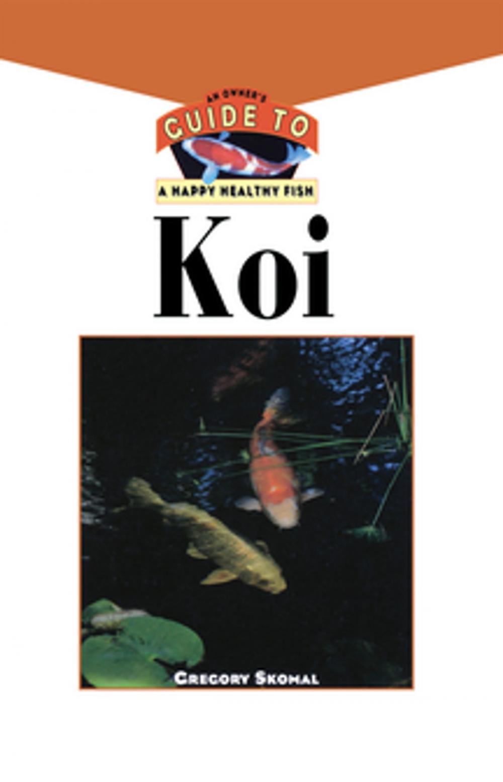 Big bigCover of The Koi