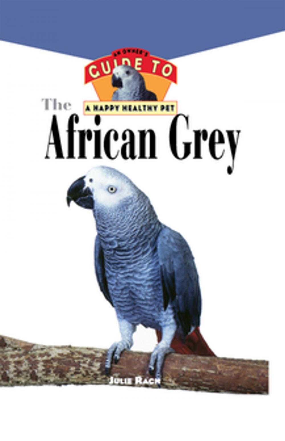 Big bigCover of The African Grey