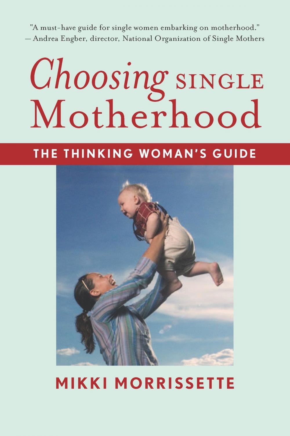 Big bigCover of Choosing Single Motherhood