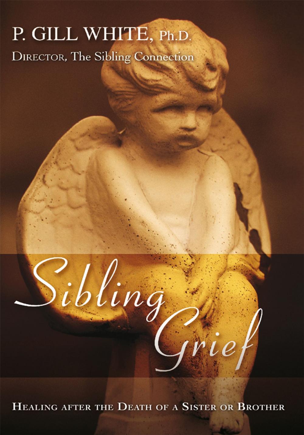 Big bigCover of Sibling Grief