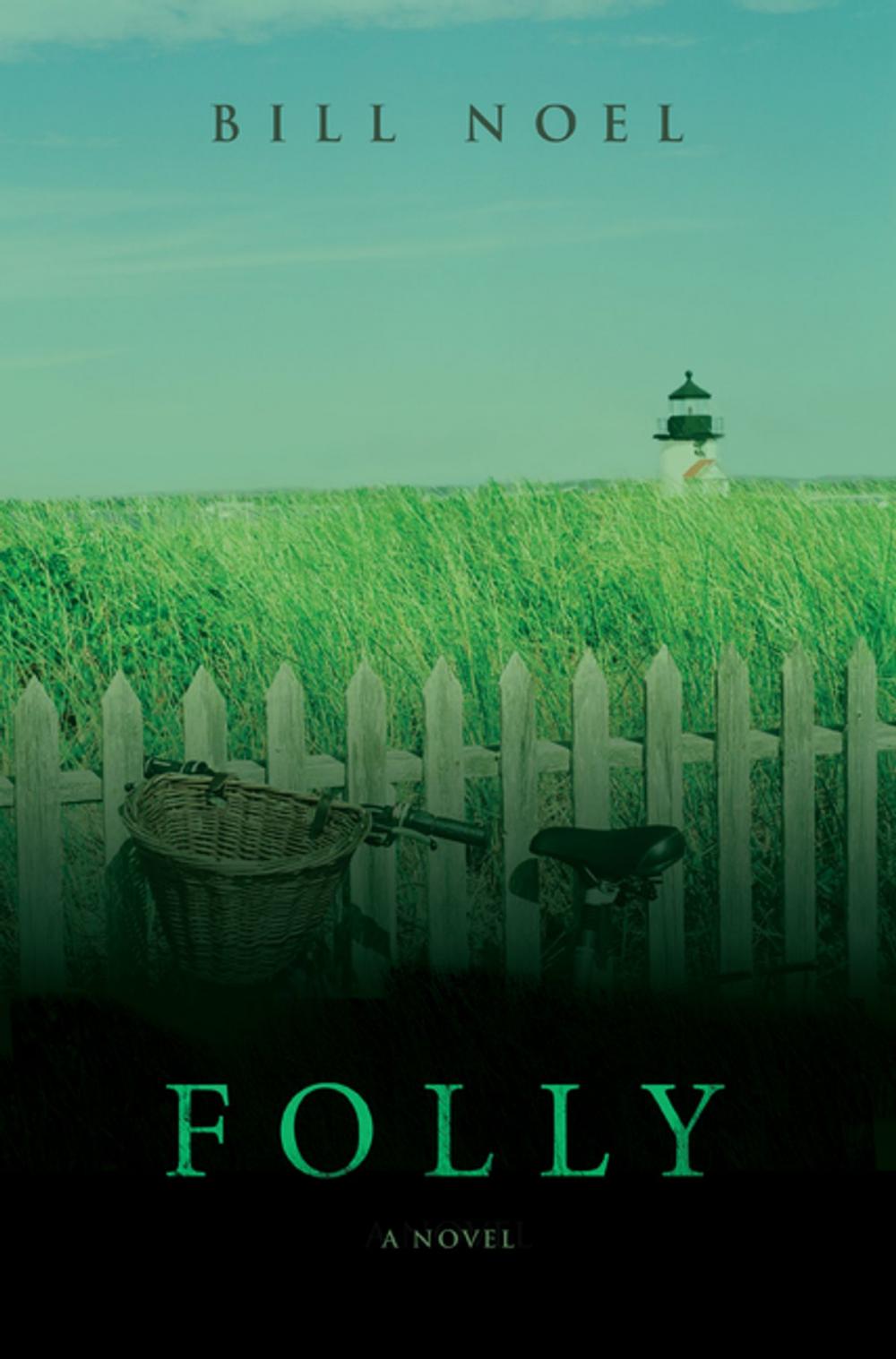 Big bigCover of Folly