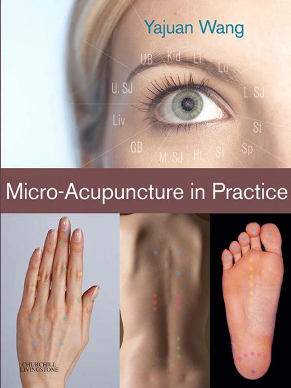 Big bigCover of Micro-Acupuncture in Practice