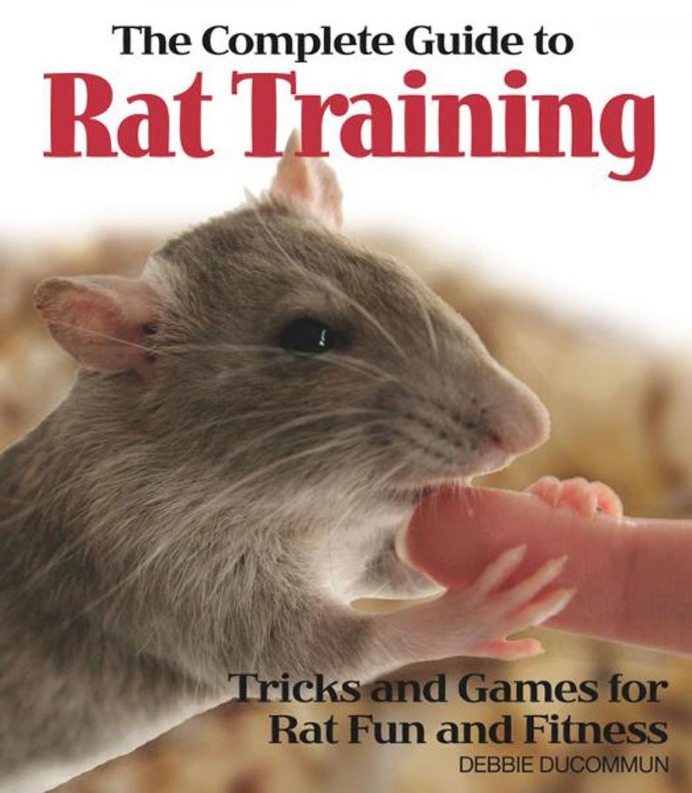 Big bigCover of The Complete Guide to Rat Training