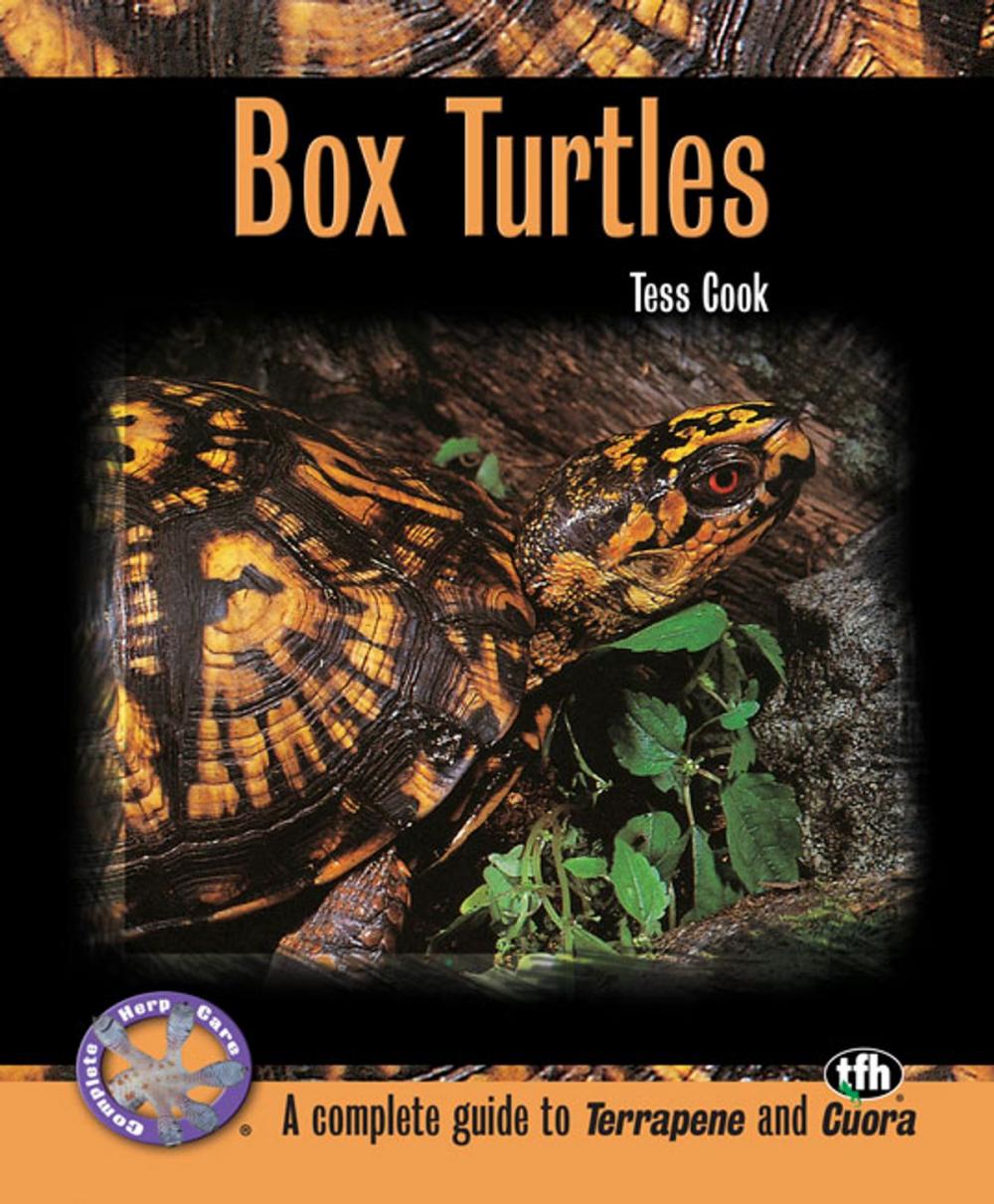 Big bigCover of Box Turtles (Complete Herp Care)