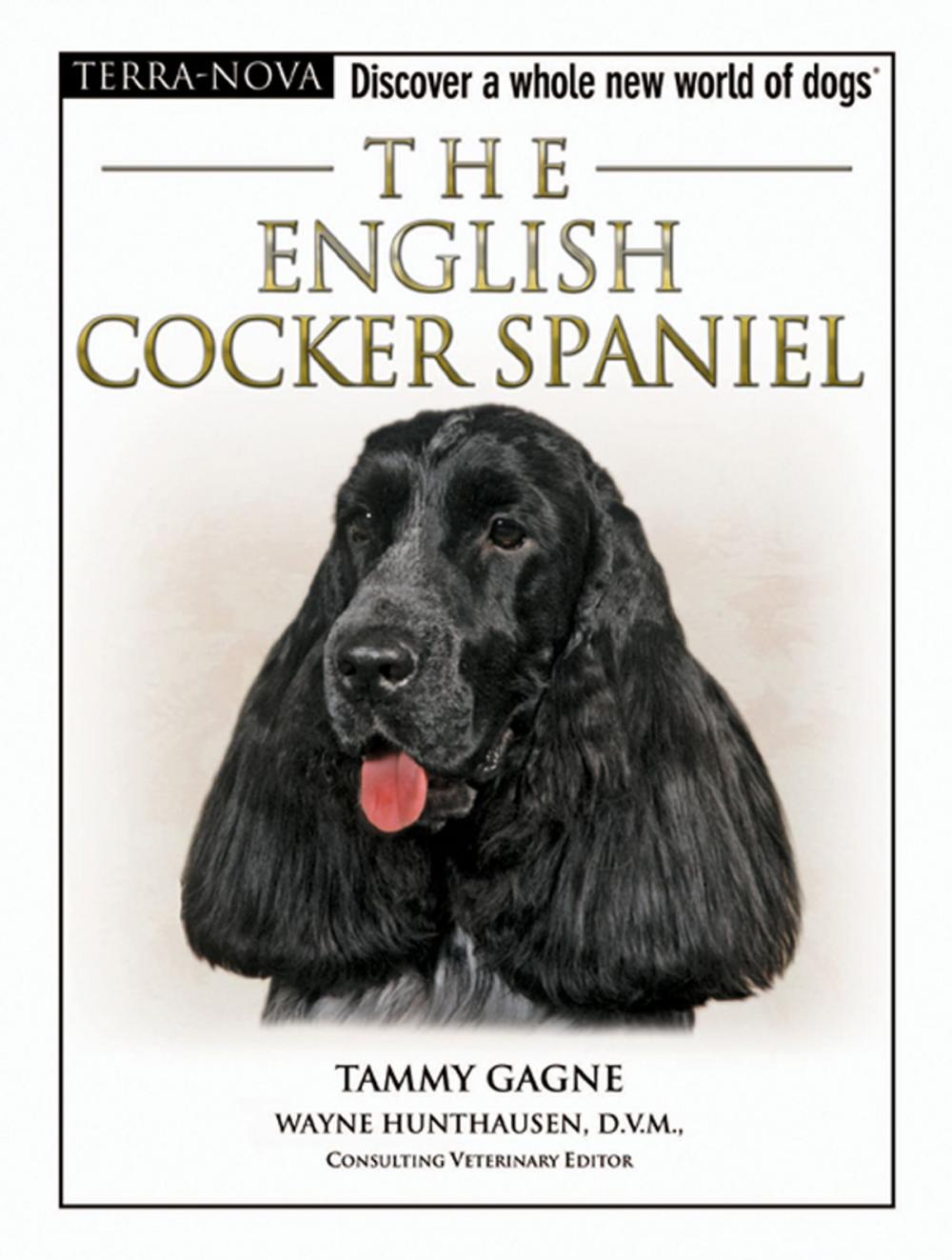 Big bigCover of The English Cocker Spaniel