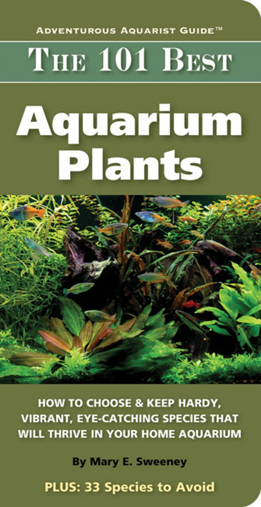 Big bigCover of 101 Best Aquarium Plants