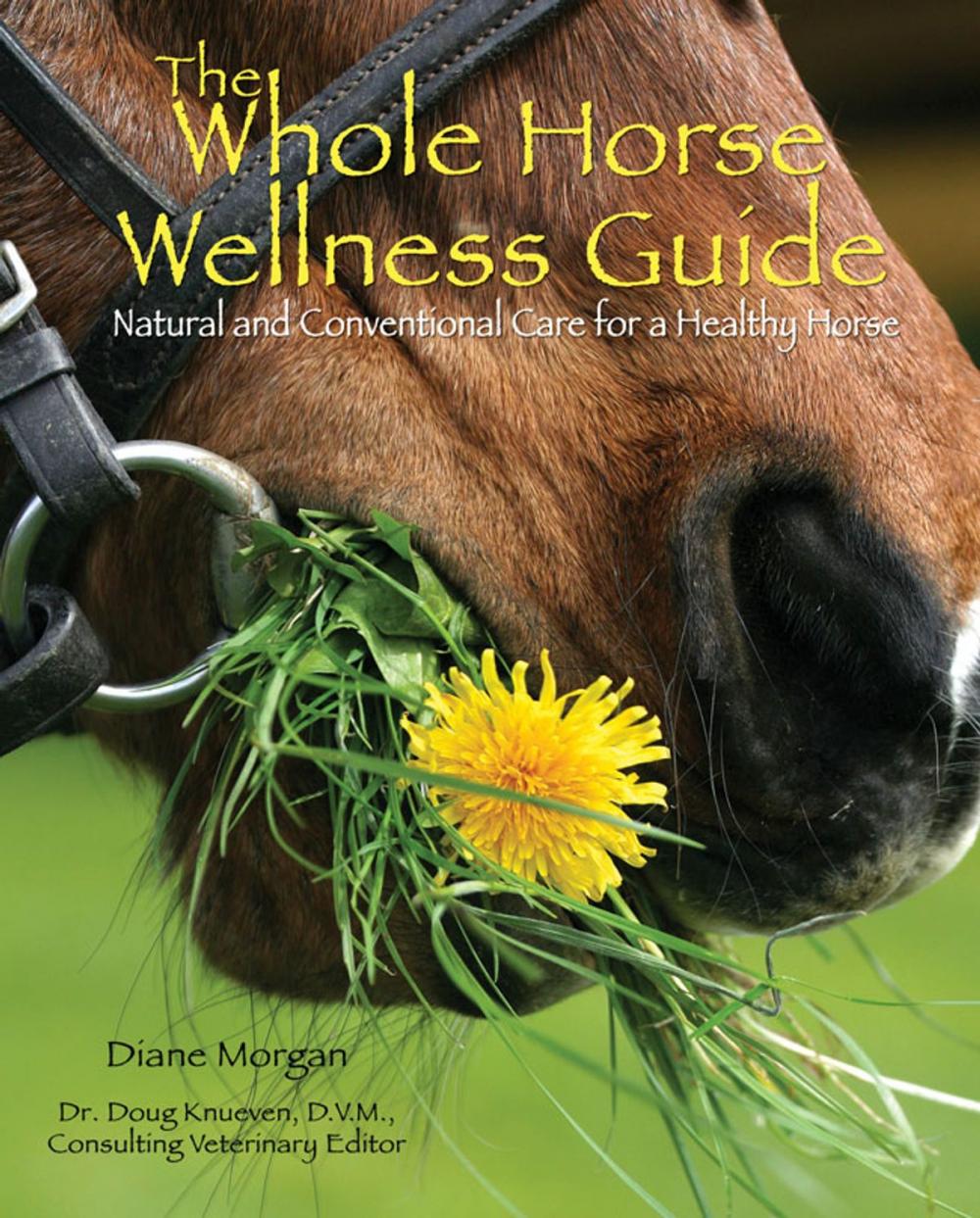 Big bigCover of The Whole Horse Wellness Guide