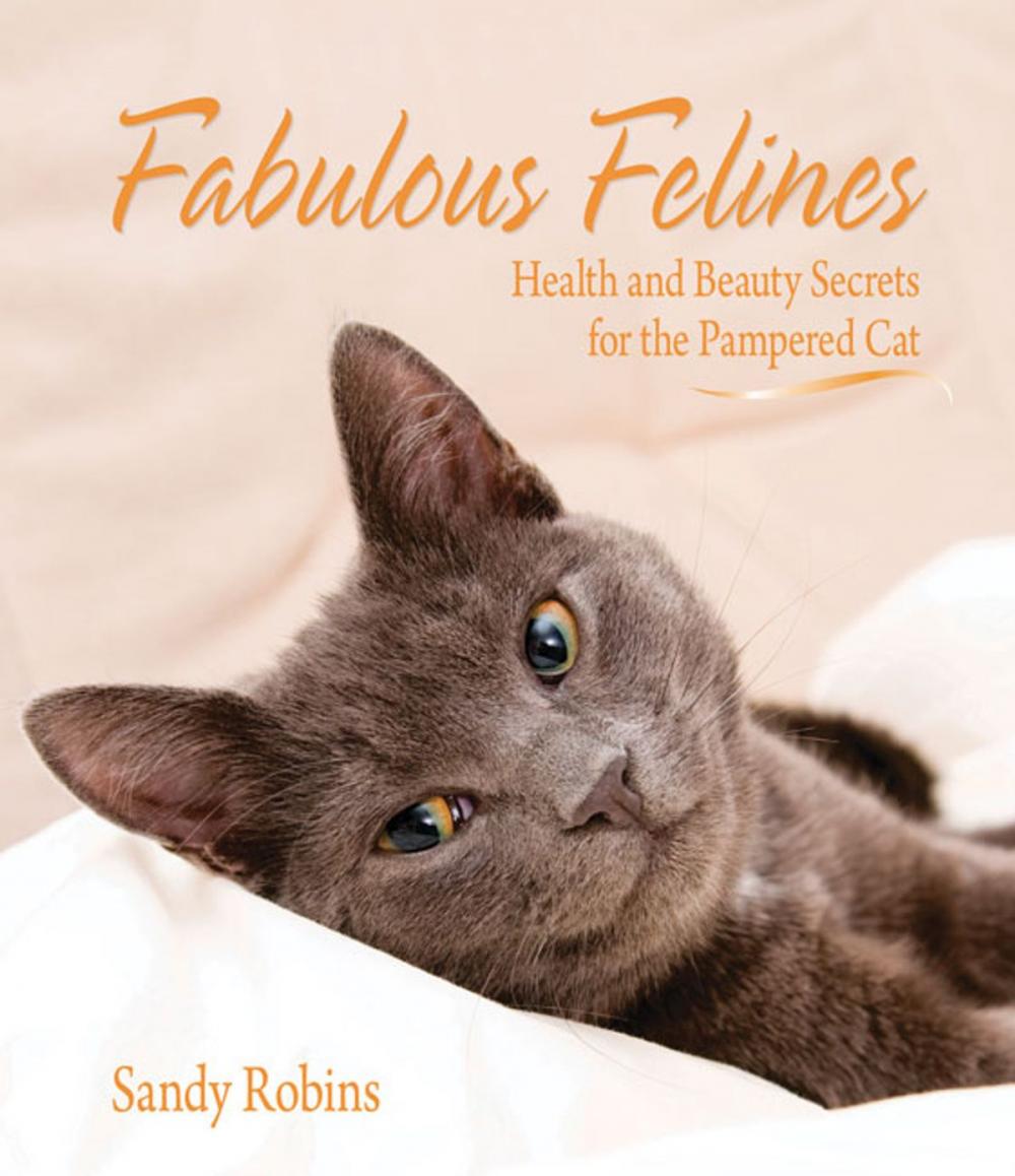 Big bigCover of Fabulous Felines