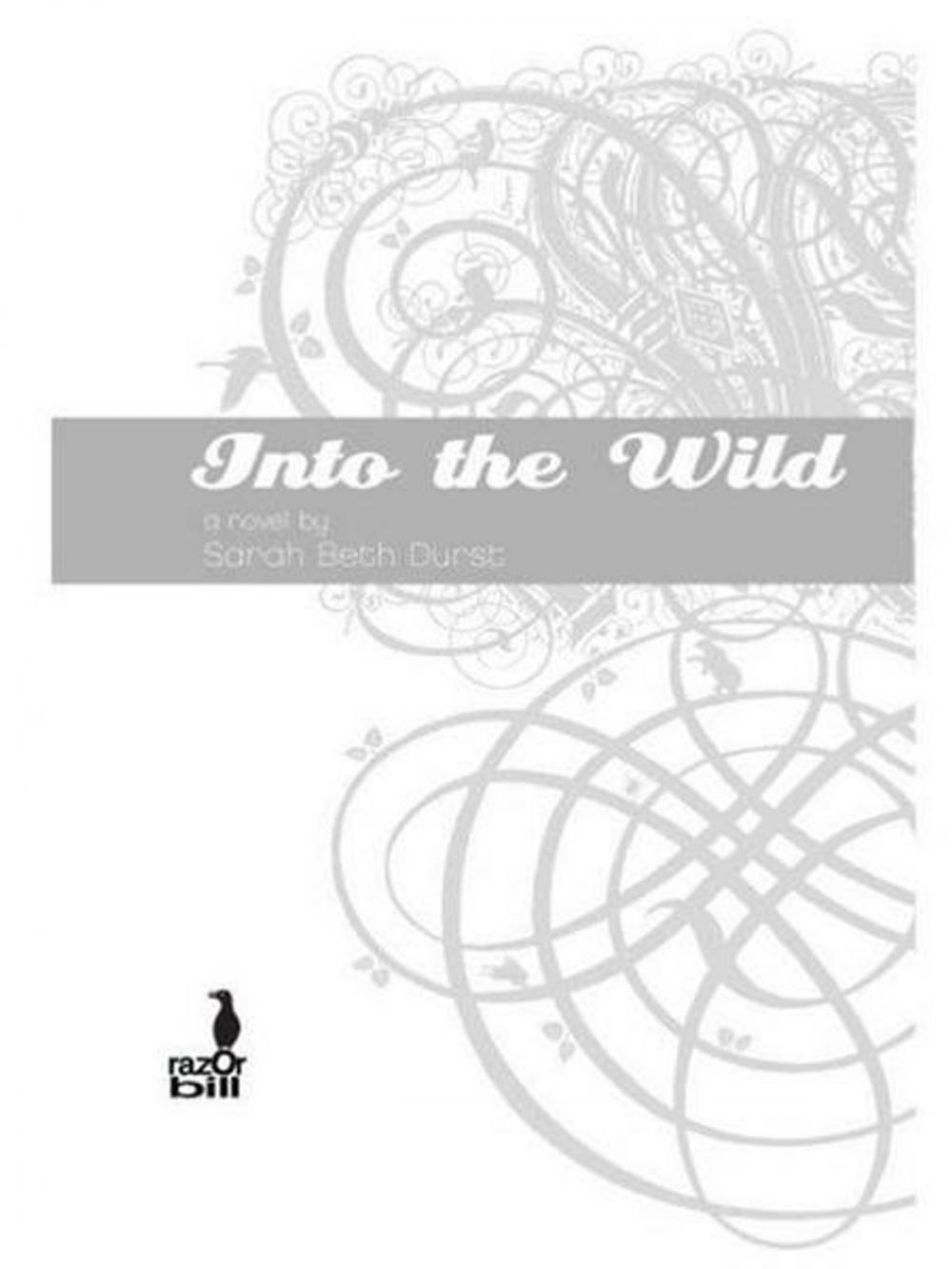 Big bigCover of Into the Wild