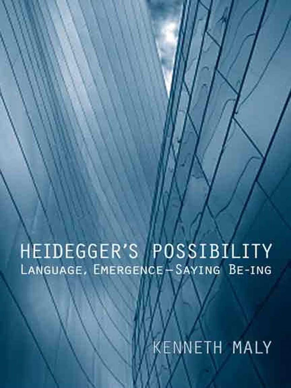 Big bigCover of Heidegger's Possibility