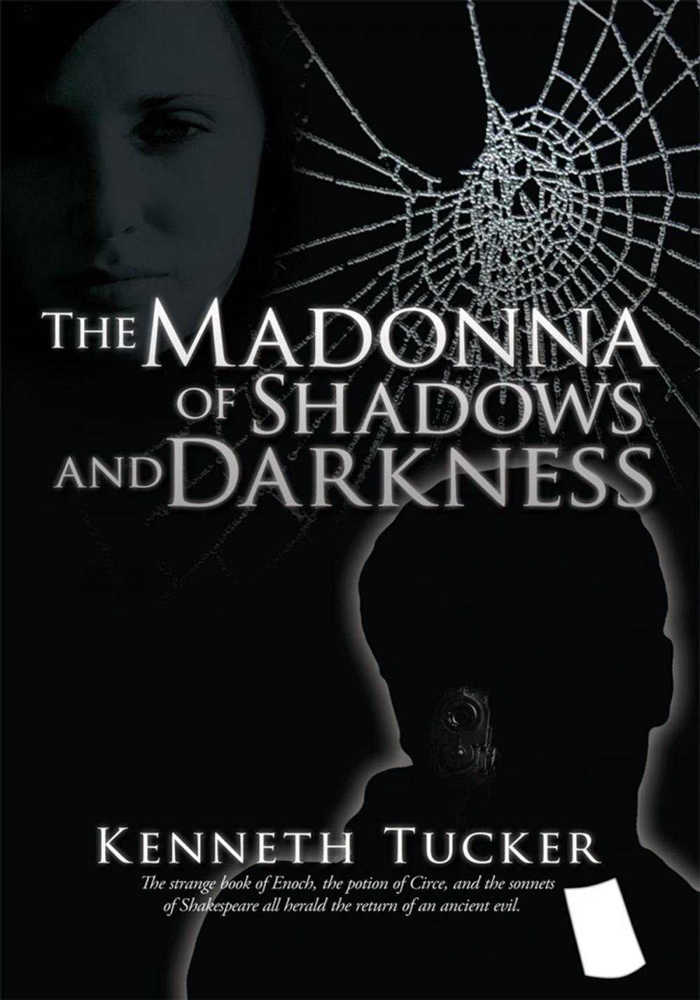 Big bigCover of The Madonna of Shadows and Darkness