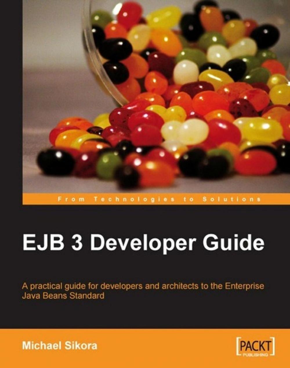 Big bigCover of EJB 3 Developer Guide